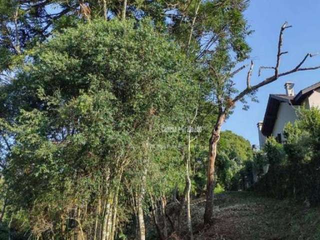 Terreno à venda, 750 m² por R$ 480.000 - Vale das Colinas - Gramado/Rio Grande do Sul