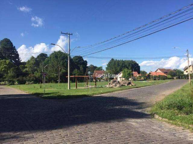 Terreno à venda, 767 m² por R$ 1.600.000,00 - Vila Luiza - Canela/RS