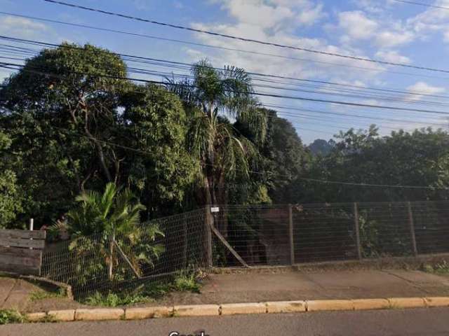 Terreno comercial à venda na Avenida Coronel Travassos, 1788, Rondônia, Novo Hamburgo por R$ 350.000