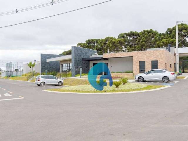 Terreno à venda, 397 m² por R$ 499.900,00 - Aviação - São José dos Pinhais/PR