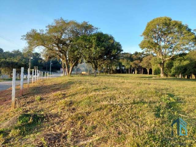 (PERMUTA) Terreno/Área a venda, em São José dos Pinhais Pr
