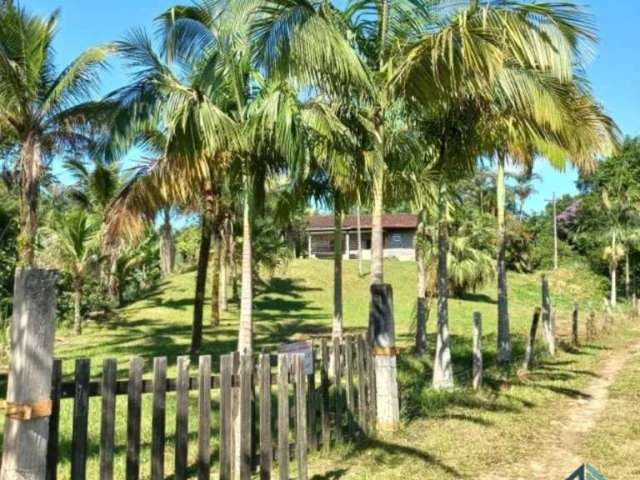 Chácara/Sítio, propriedade produtiva, 30 hectares com plantação de palmito pupunha, em Guaratuba PR