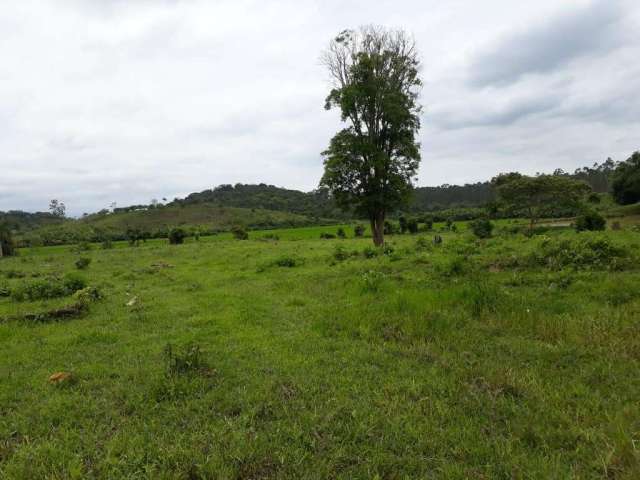 Terreno para Venda em Guaramirim, Guamiranga