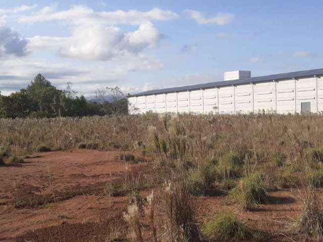 Terreno para Venda em Guaramirim, Corticeira