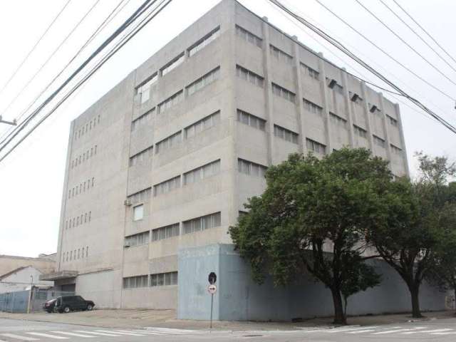 Prédio, 9313 m² - venda por R$ 30.000.000,00 ou aluguel por R$ 211.125,00/mês - Brás - São Paulo/SP