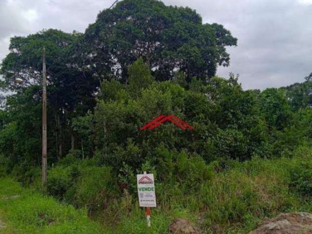 Terreno à venda, 384 m² por R$ 150.000,00 - Itamar - Itapoá/SC