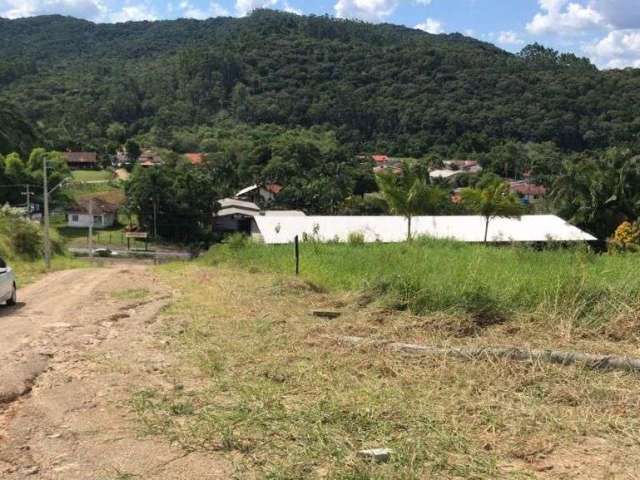 Terreno à venda, 415 m² por R$ 150.000,00 - São Luiz - Apiúna/SC