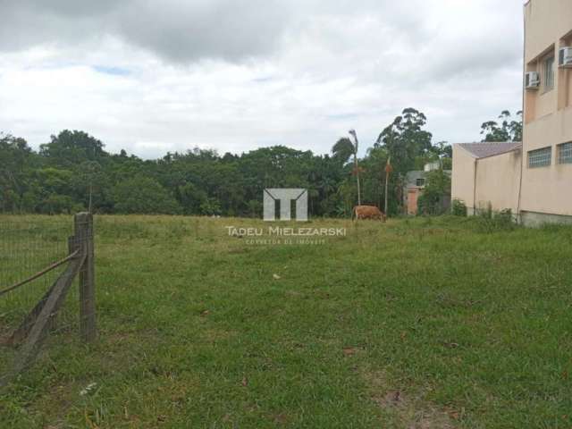 Terreno à venda no bairro Sertão de Santa Luzia - Porto Belo/SC