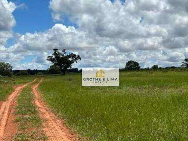Fazenda com 200 hectares de pecúaria à venda na região do município de Rio Pardo-MS.