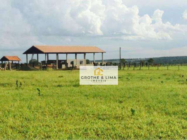 Fazenda com 1.005 hectares de pecúaria à venda na região do município de Campo Grande-MS.