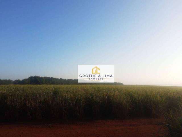 Fazenda à venda, 62920000 m² por R$ 950.000.000 - na Região de Campinas/SP