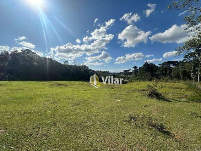 Terreno à venda, 6000 m² por R$ 299.900,00 - Colônia Santa Maria - Piraquara/PR