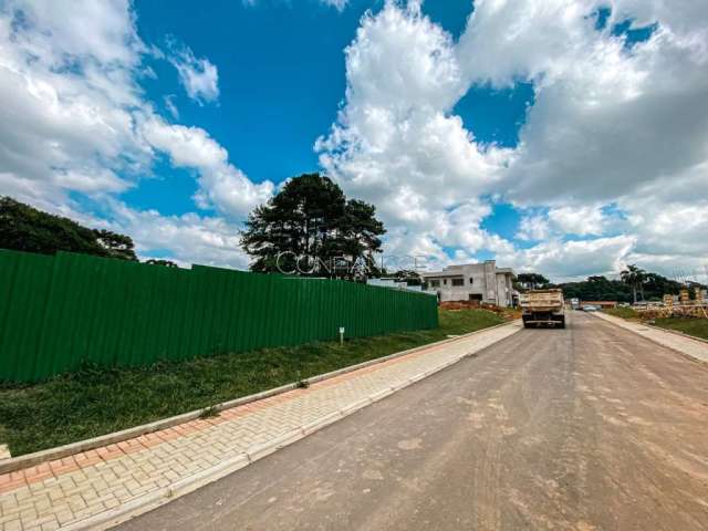 Terreno em condomínio fechado à venda na Rua das Araras, Novo Mundo, Curitiba, 342 m2 por R$ 4.394.761