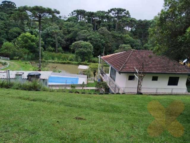Chácara com 3 dormitórios - Area Rural - São José dos Pinhais/PR