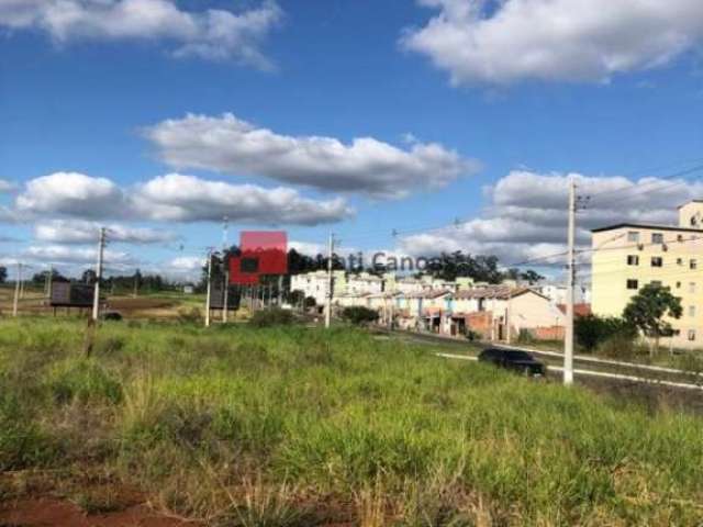 Terreno comercial para alugar na Avenida Hispânica, Guajuviras, Canoas por R$ 7.000