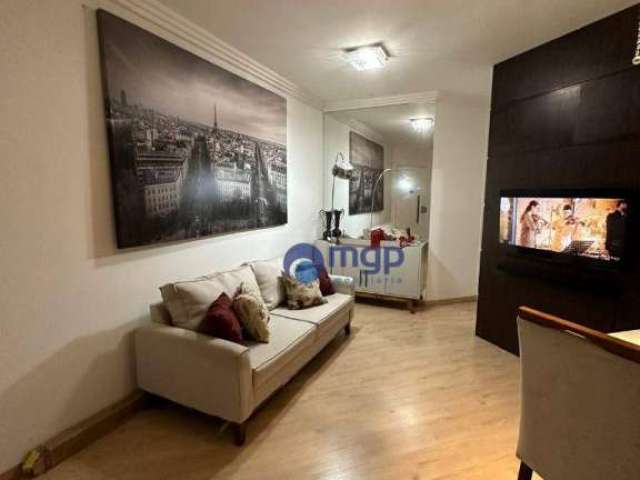 Apartamento com 2 dormitórios à venda, 50 m² - Vila Constança