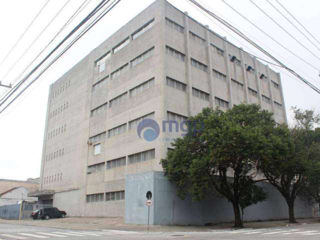 Prédio, 9313 m² - venda por R$ 27.000.000,00 ou aluguel por R$ 31,67/mês - Brás - São Paulo/SP