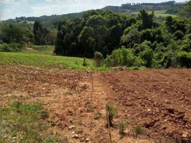 Terreno à venda na Rio do Cacho, S/N, Zona Rural, Contenda por R$ 550.000