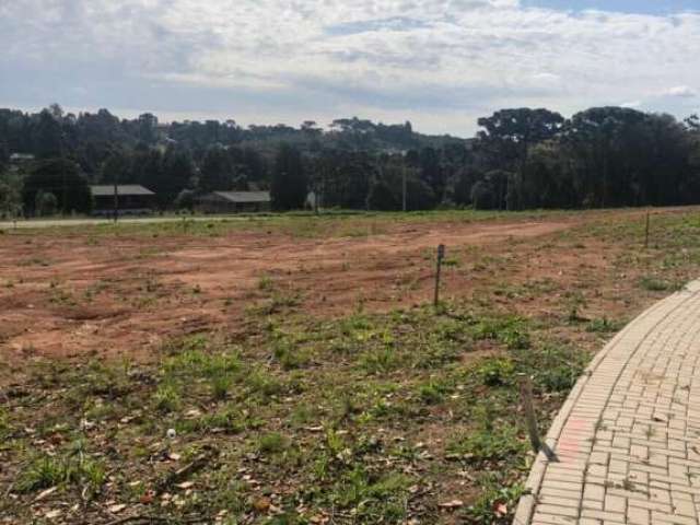 Terreno à venda no bairro Daher - Campina Grande do Sul/PR