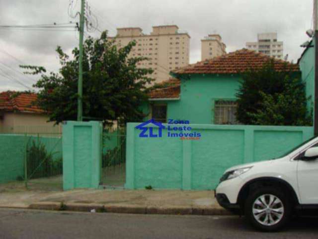 Terreno à venda, 390 m² por R$ 1.400.000,00 - Vila Gomes Cardim - São Paulo/SP