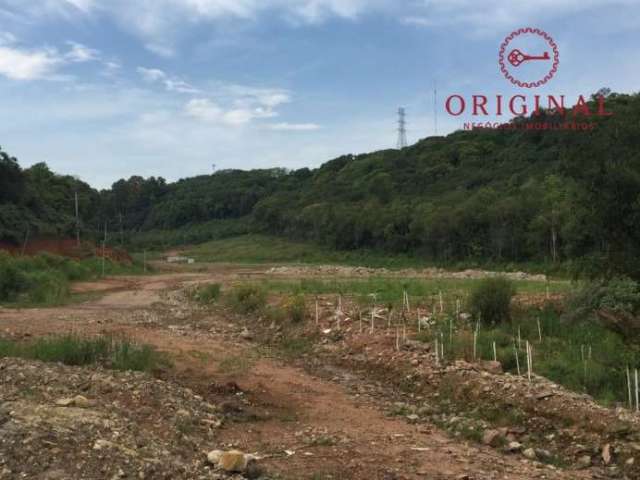 Terreno à venda na R S 122, 1, Linha 40, Caxias do Sul por R$ 5.900.000