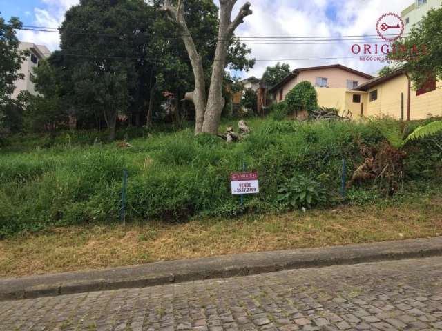 Terreno à venda na Rua Nicola Mariani, Universitário, Caxias do Sul por R$ 720.000