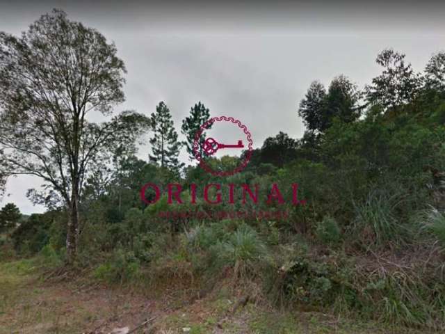 Terreno à venda na Asti, 300, São Gotardo (Distrito), Flores da Cunha por R$ 700.000