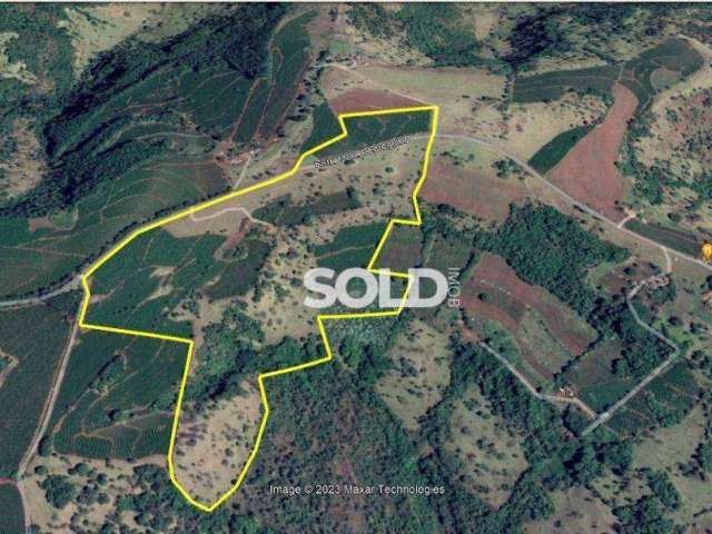 Fazenda à venda, 411400 m² por R$ 6.000.000,00 - Usina Estreito - Pedregulho/SP