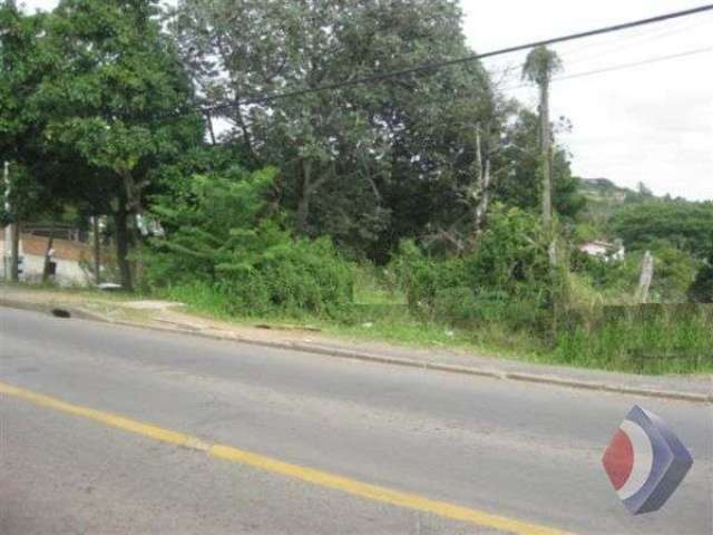 Terreno à venda na Estrada Cristiano Kraemer, 3385, Vila Nova, Porto Alegre por R$ 380.000