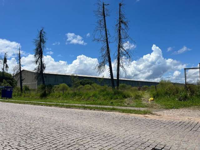 Área de 20.000 m² em São José dos Pinhais