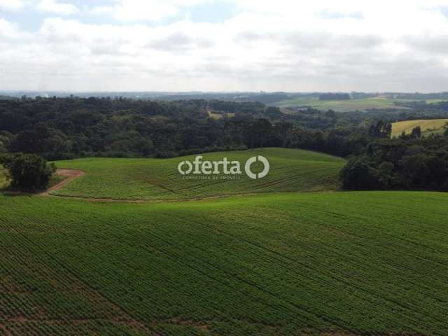 Terreno à venda na Zona Rural, Contenda  por R$ 4.000.000