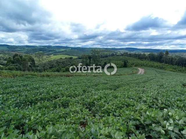 Terreno à venda no Mato Preto, Lapa  por R$ 335.000