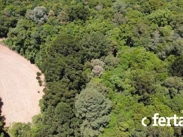 Chácara / sítio à venda no Rio Verde de Cima, Araucária  por R$ 379.900