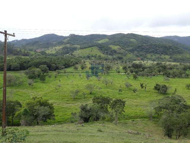 Fazenda para Venda no bairro Caetes em Camboriú, 250000000 m² de área total, 250000000 m² privativos,