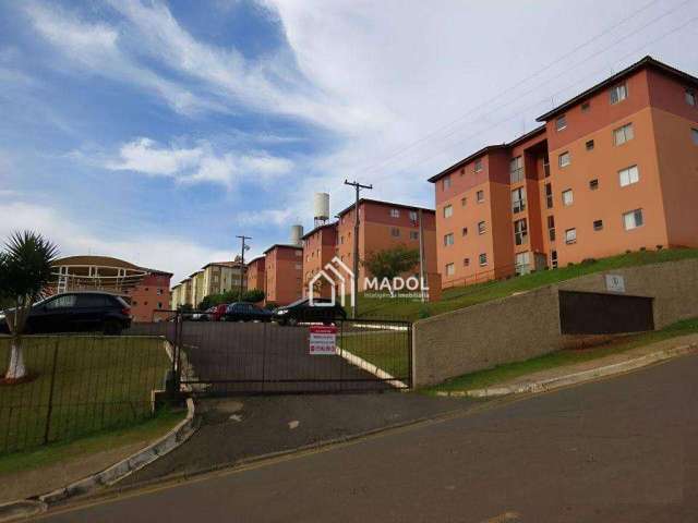 Apartamento com 2 dormitórios à venda por R$ 140.000,00 - Estrela - Ponta Grossa/PR