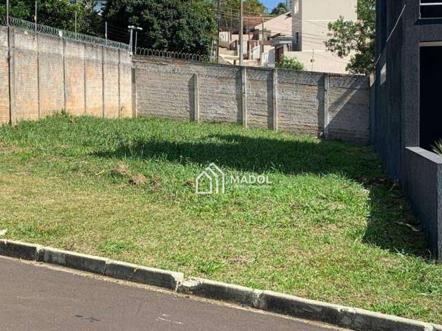 Terreno à venda, 305 m² por R$ 330.000,00 - Oficinas - Ponta Grossa/PR