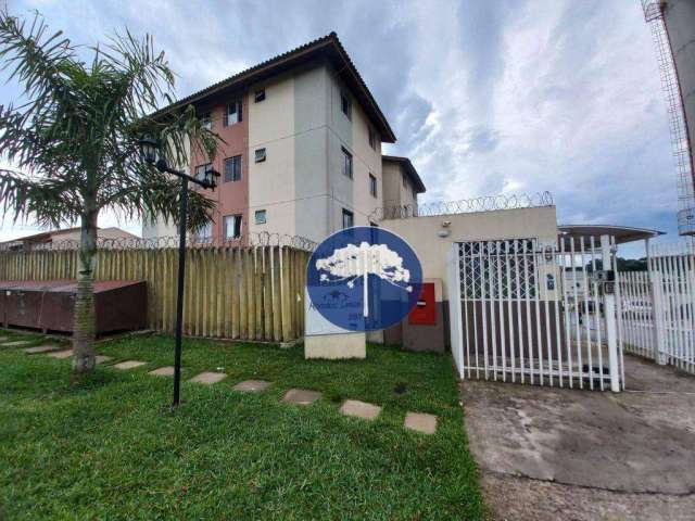 Apartamento com 2 dormitórios à venda, 43 m² por R$ 169.000,00 - Campina da Barra - Araucária/PR
