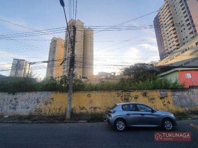 Terreno à venda, 1600 m² por R$ 4.995.000,00 - Vila Rosália - Guarulhos/SP