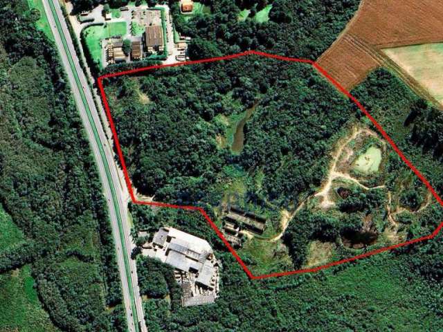Terreno à venda, 291000 m² por R$ 18.500.000,00 - Campina - São José dos Pinhais/PR