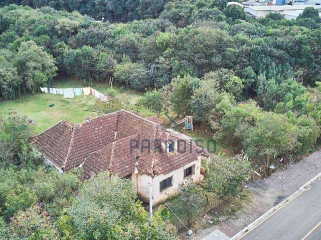 Terreno à venda, 10000 m² por R$ 1.350.000,00 - Butiatuvinha - Curitiba/PR
