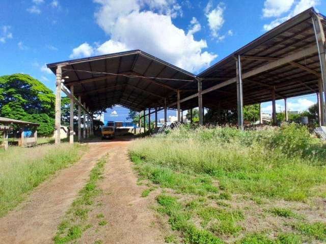 Terreno para alugar, 500 m² por R$ 8.000/mês - Parque Industrial Lagoinha - Ribeirão Preto/SP