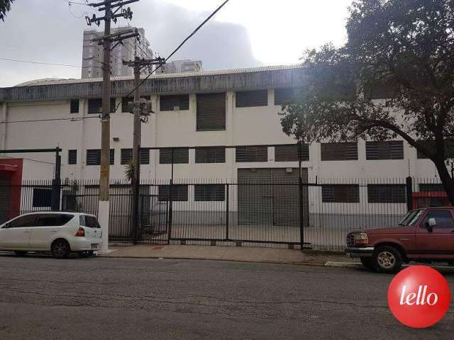 Barracão / Galpão / Depósito para alugar na Rua Albertina de Souza, --, Perdizes, São Paulo, 1818 m2 por R$ 62.560