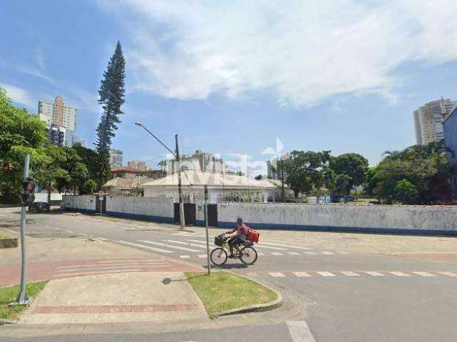 Terreno para aluguel no bairro Ponta da Praia