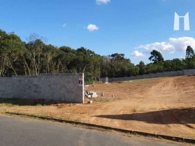 Terreno à venda, 390 m² por R$ 410.000,00 - Vila Delurdes - Campo Largo/PR