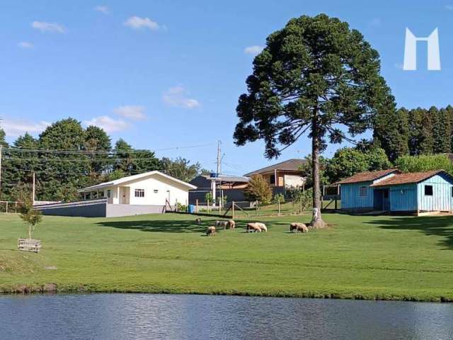 Chácara com 3 dormitórios à venda, 11780 m² por R$ 1.300.000,00 - Zona Rural - Balsa Nova/PR