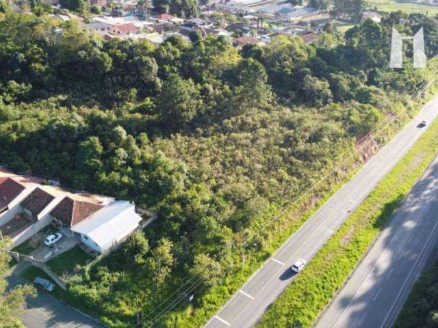 Terreno à venda, 11480 m² por R$ 2.300.000,00 - Vila Itaqui - Campo Largo/PR
