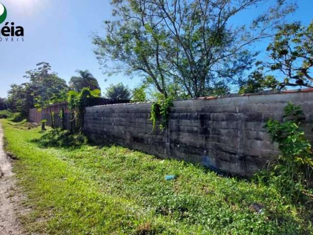 Terreno com 228,00 m² limpo e parcialmente murado - Nova Cananéia - Cananéia - Litoral Sul de SP