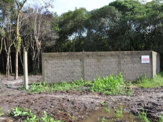Terreno com 489,70 m2 parcialmente limpo e murado no Retiro das Caravelas - Cananéia / SP