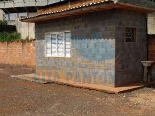 Casa Comercial - Ribeirão Preto - Jardim Palma Travassos - Região Leste