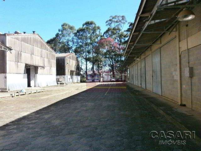 Galpão à venda, 2800 m² - Cooperativa - São Bernardo do Campo/SP